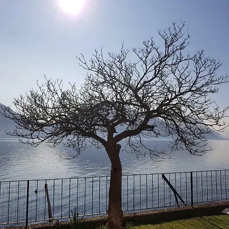 Filippo * San Siro (Lombardy)